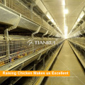 Automatic Chicken Farm Equipment for Layer Broiler Pullet